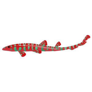 Red Bamboo Shark